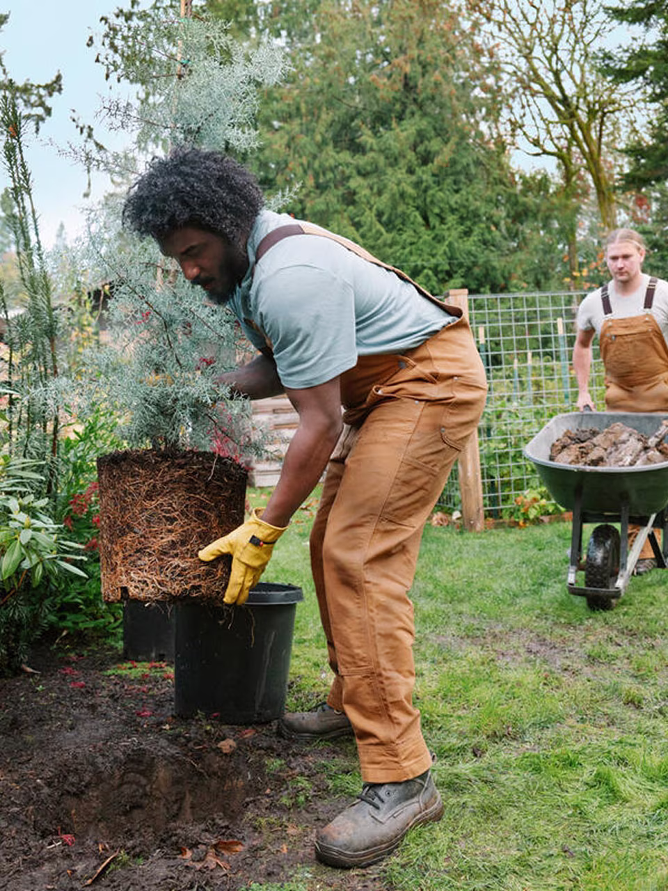 Landscaping & outdoors